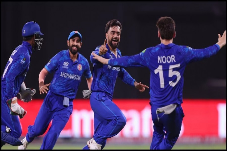 Afghanistan reached in T20 World Cup Semi Finals