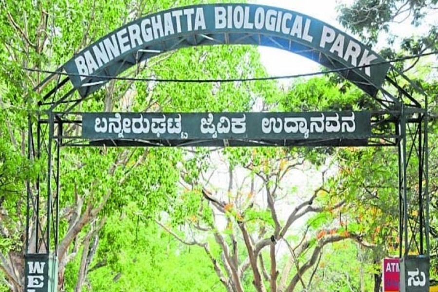 Tourists flock to Bannerghatta National Park