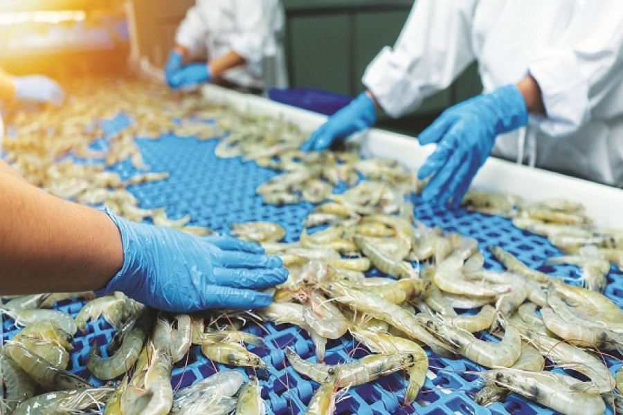 India's Seafood Exports record Rs.72000 crore